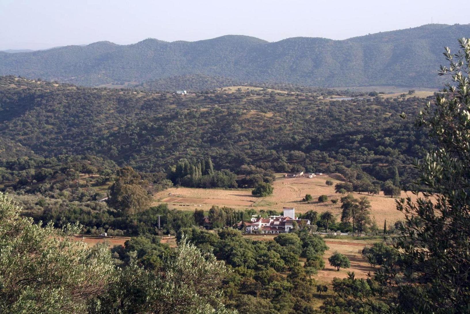 Las Navezuelas Cazalla de la Sierra Εξωτερικό φωτογραφία