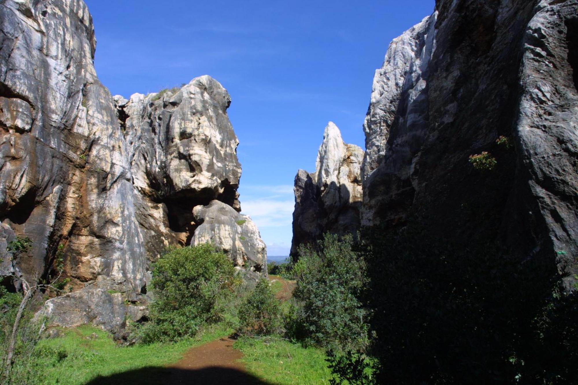 Las Navezuelas Cazalla de la Sierra Εξωτερικό φωτογραφία
